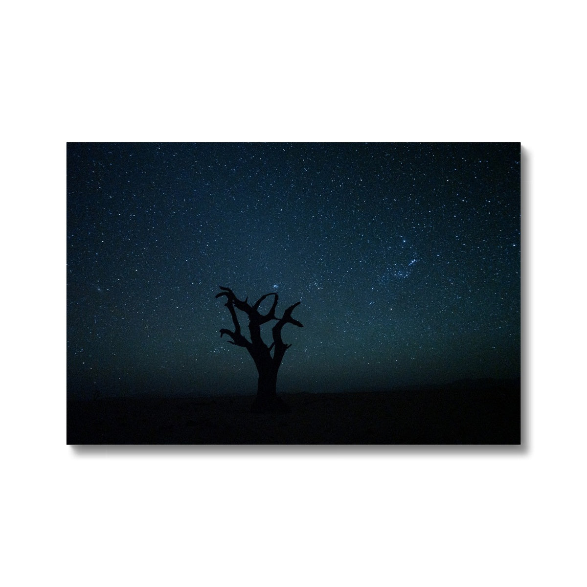 Craig Kolesky_Namibian Nights Canvas