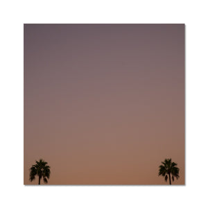 Los Angeles Palms_1 Hahnemühle Photo Rag Print