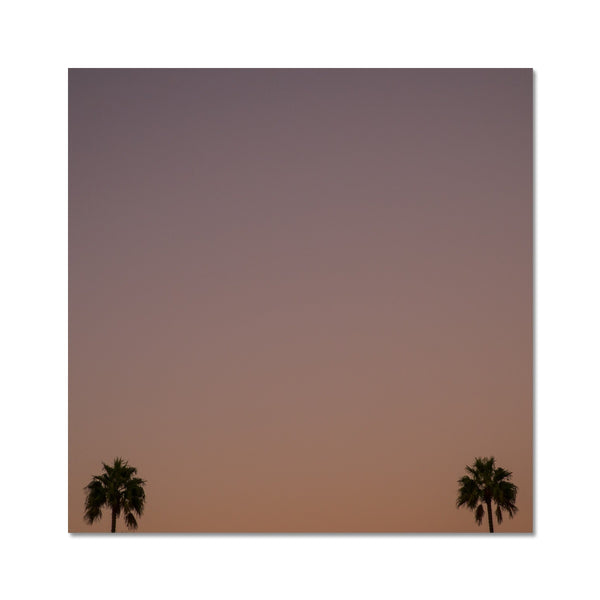 Los Angeles Palms_1 Hahnemühle Photo Rag Print