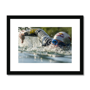 Olaf Pignataro - Swimming Framed & Mounted Print