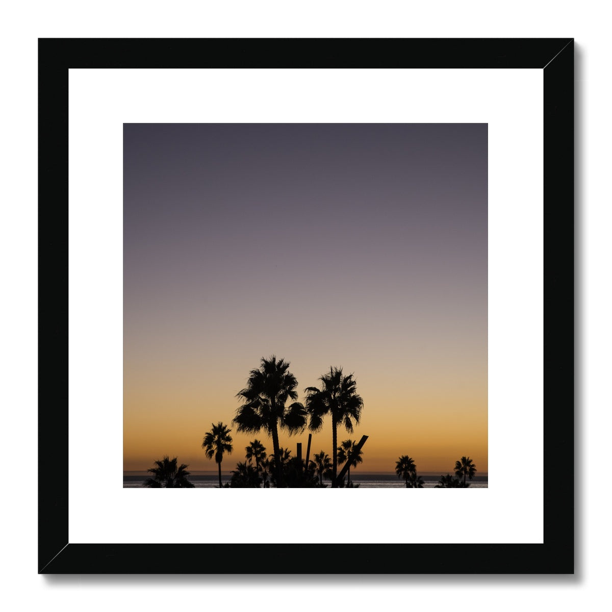 Los Angeles Palms_3 Framed & Mounted Print