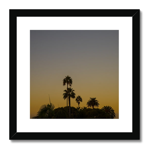 Los Angeles Palms_2 Framed & Mounted Print