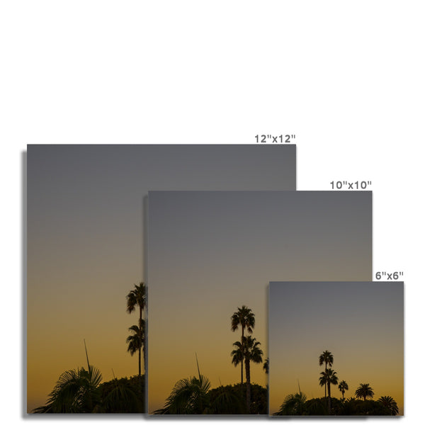 Los Angeles Palms_2 Hahnemühle Photo Rag Print