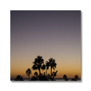 Los Angeles Palms_3 Canvas