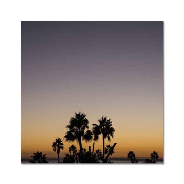 Los Angeles Palms_3 Hahnemühle Photo Rag Print