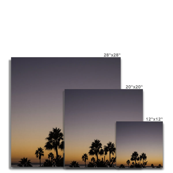 Los Angeles Palms_3 Canvas