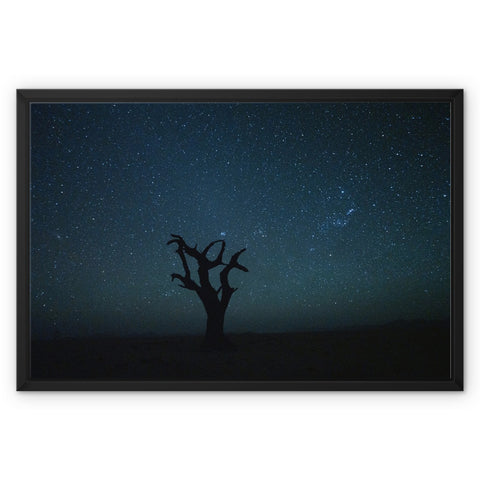 Craig Kolesky_Namibian Nights Framed Canvas