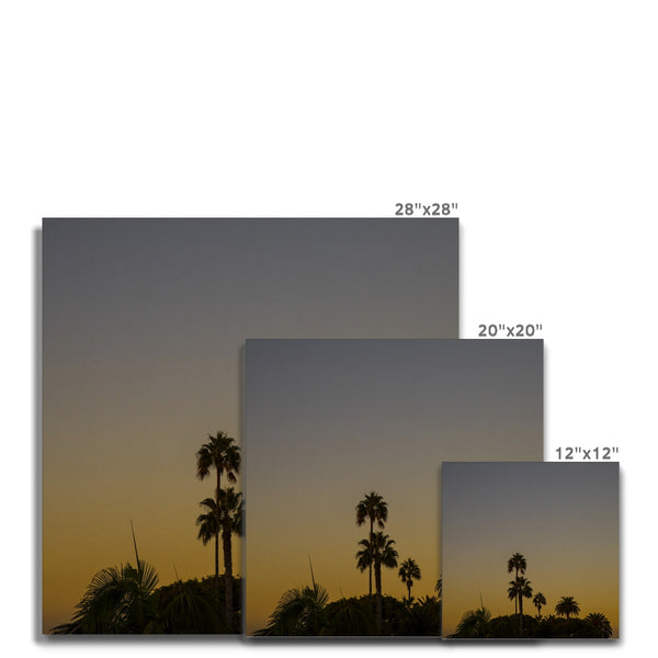 Los Angeles Palms_2 Canvas